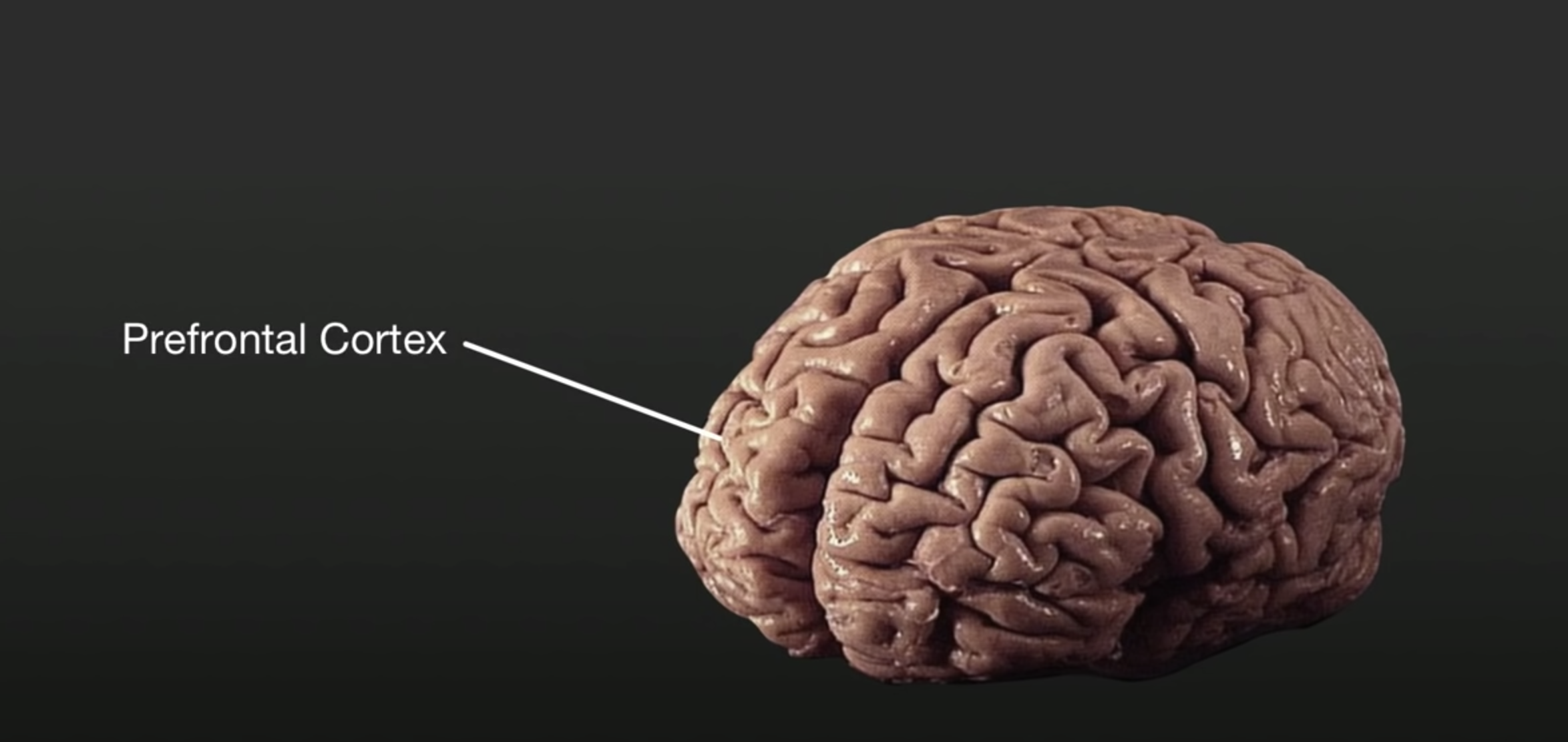 Are You Creating Bad Habits Subconsciously?